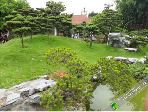 Thi công Non bộ – Hồ cá Koi tại Xã Quang Tiến – Sóc sơn