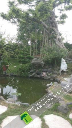 Hòn non bộ hồ cá