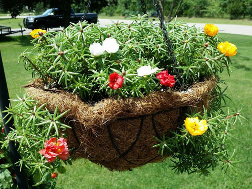 1435636122-11696750_1023816544298078_1921290892_n