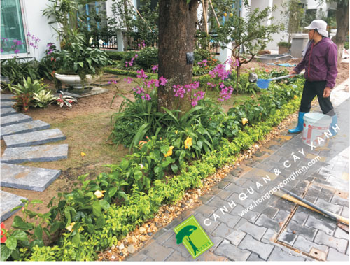 Không gian sân vườn biệt thự