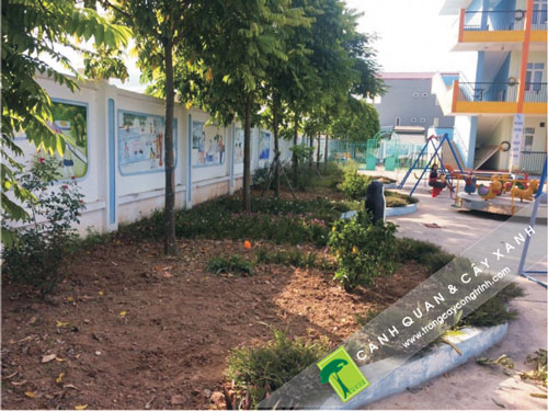 Ưu điểm khi thi công cây xanh vào cuối công trình