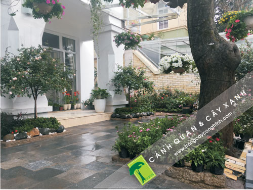 thiết kế cảnh quan sân vườn hiện đại