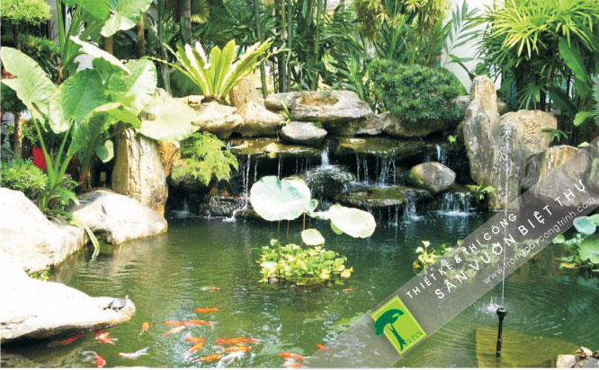 kết hợp đá trang trí cùng cây xanh tiểu cảnh giúp đa dạng hệ sinh thái của khu vườn