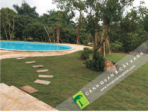 cảnh quan sân vườn biệt thự đẹp